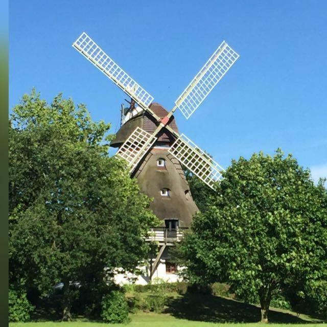 Fewo An Der Muehle Hasselberg  エクステリア 写真
